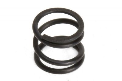 Agama 8066 - Servo Saver Spring
