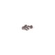 Schumacher U7781 - Spur Gear Screw - Mi7,Mi8,FT8,Mi9 - 3 Pcs